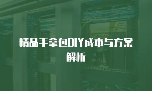 精品手拿包DIY成本与方案解析
