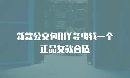 新款公文包DIY多少钱一个正品女款合适