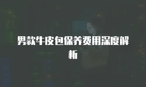 男款牛皮包保养费用深度解析