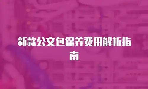 新款公文包保养费用解析指南