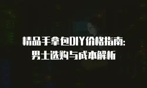精品手拿包DIY价格指南：男士选购与成本解析