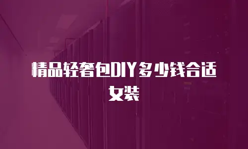 精品轻奢包DIY多少钱合适女装
