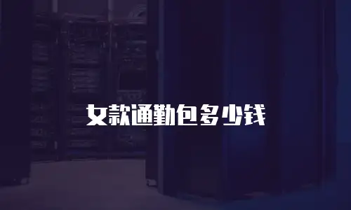 女款通勤包多少钱