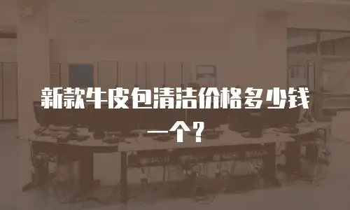 新款牛皮包清洁价格多少钱一个？