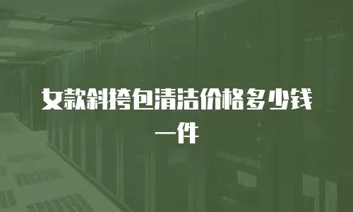 女款斜挎包清洁价格多少钱一件