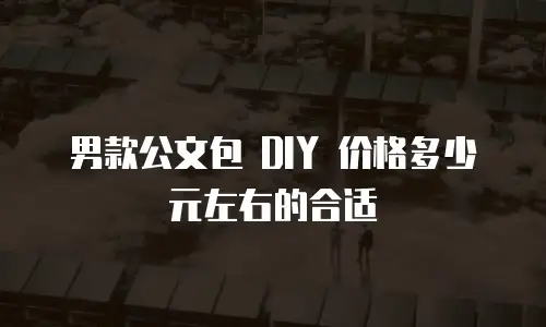 男款公文包 DIY 价格多少元左右的合适