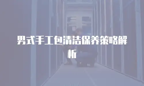 男式手工包清洁保养策略解析
