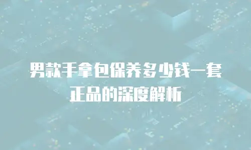 男款手拿包保养多少钱一套正品的深度解析
