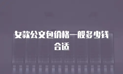 女款公文包价格一般多少钱合适