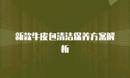 新款牛皮包清洁保养方案解析