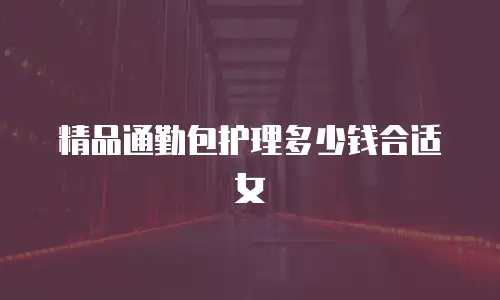 精品通勤包护理多少钱合适女