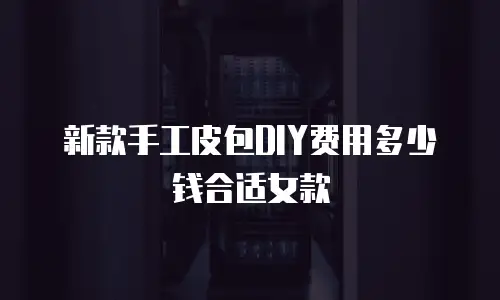 新款手工皮包DIY费用多少钱合适女款