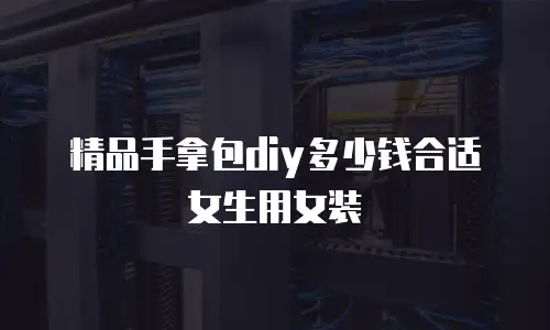 精品手拿包diy多少钱合适女生用女装