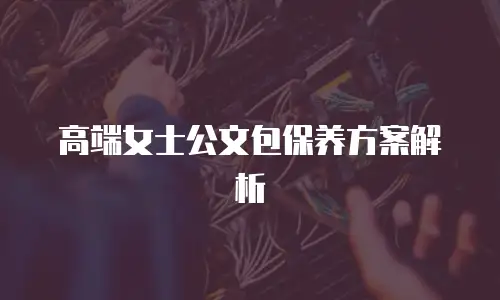 高端女士公文包保养方案解析