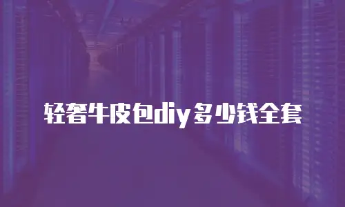 轻奢牛皮包diy多少钱全套
