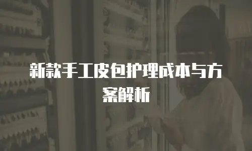 新款手工皮包护理成本与方案解析
