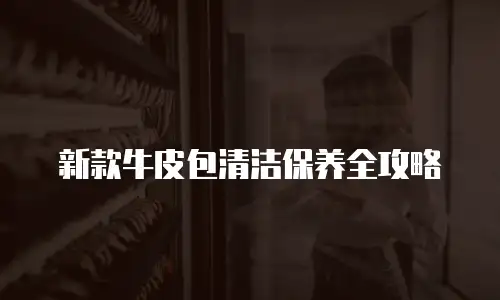 新款牛皮包清洁保养全攻略