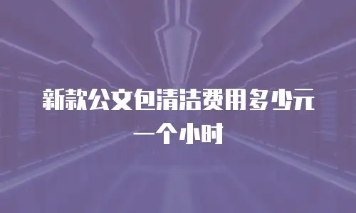 新款公文包清洁费用多少元一个小时