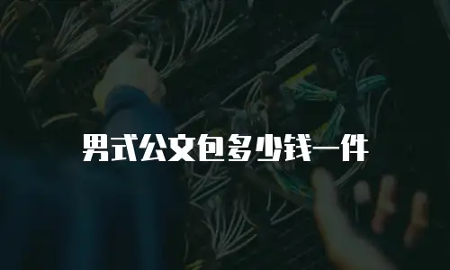 男式公文包多少钱一件