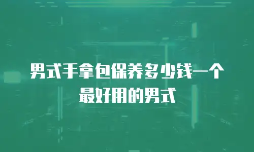 男式手拿包保养多少钱一个最好用的男式