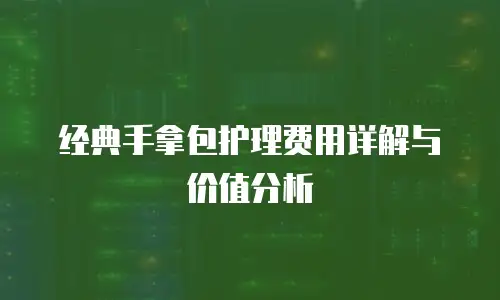 经典手拿包护理费用详解与价值分析