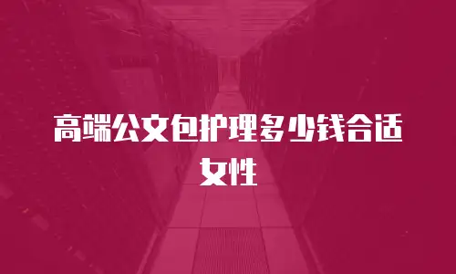 高端公文包护理多少钱合适女性