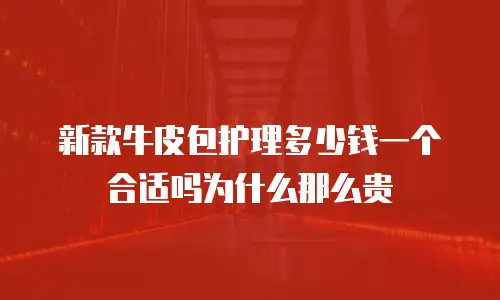 新款牛皮包护理多少钱一个合适吗为什么那么贵