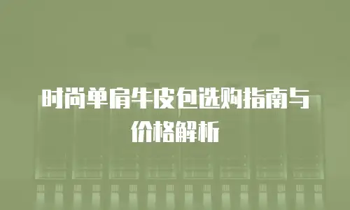 时尚单肩牛皮包选购指南与价格解析