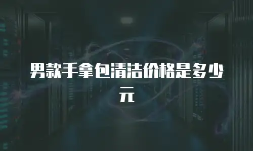 男款手拿包清洁价格是多少元