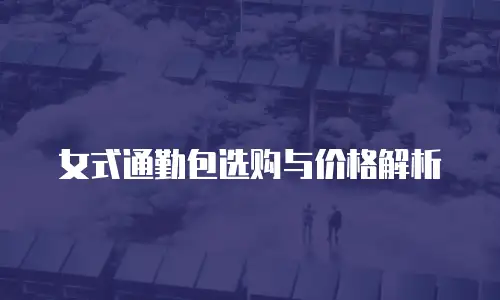 女式通勤包选购与价格解析