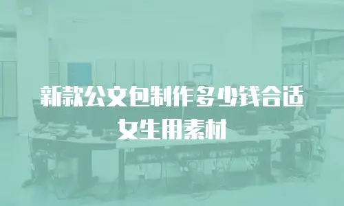 新款公文包制作多少钱合适女生用素材
