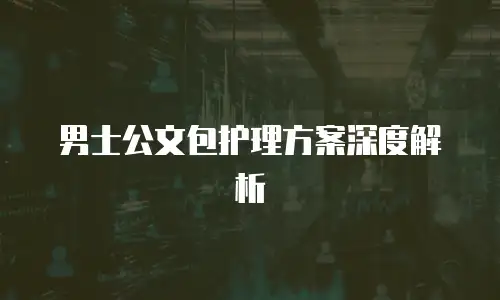 男士公文包护理方案深度解析