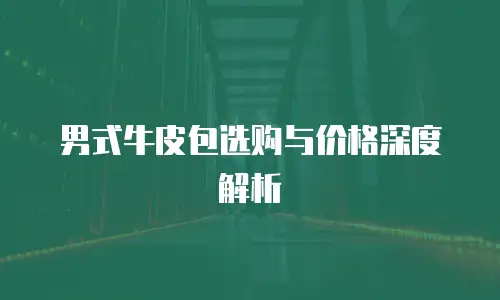男式牛皮包选购与价格深度解析