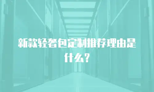 新款轻奢包定制推荐理由是什么？