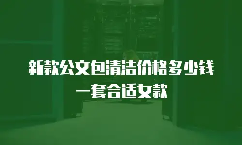 新款公文包清洁价格多少钱一套合适女款