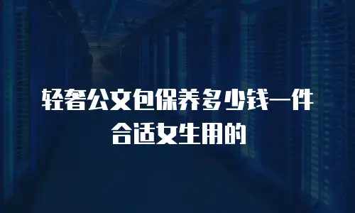 轻奢公文包保养多少钱一件合适女生用的