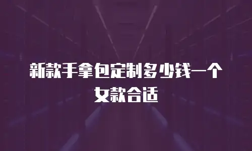 新款手拿包定制多少钱一个女款合适