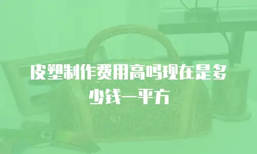 皮塑制作费用高吗现在是多少钱一平方