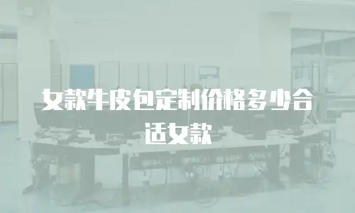 女款牛皮包定制价格多少合适女款