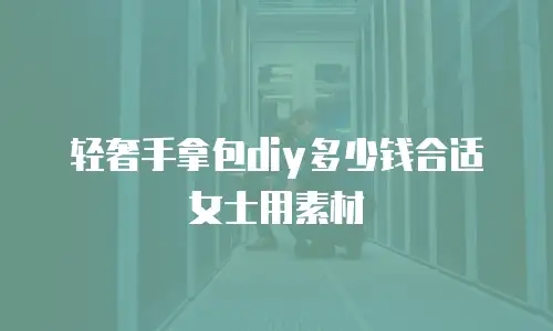 轻奢手拿包diy多少钱合适女士用素材