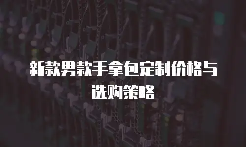 新款男款手拿包定制价格与选购策略