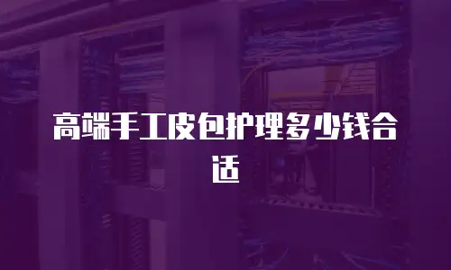 高端手工皮包护理多少钱合适