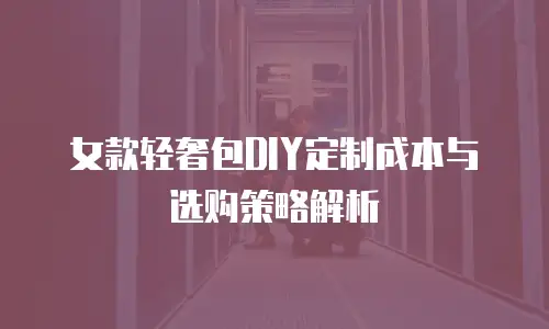 女款轻奢包DIY定制成本与选购策略解析