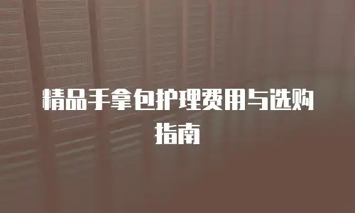 精品手拿包护理费用与选购指南