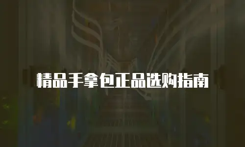 精品手拿包正品选购指南