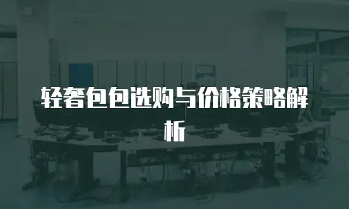 轻奢包包选购与价格策略解析
