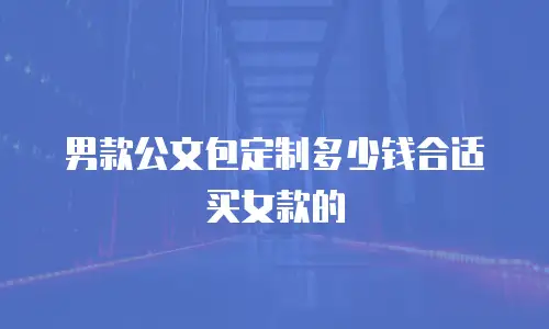 男款公文包定制多少钱合适买女款的