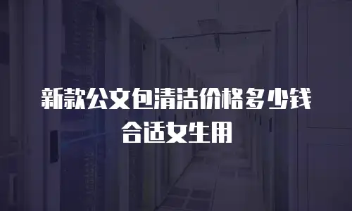 新款公文包清洁价格多少钱合适女生用