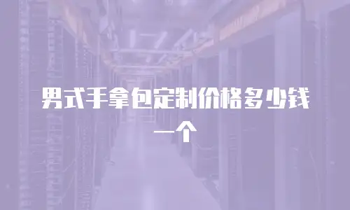 男式手拿包定制价格多少钱一个
