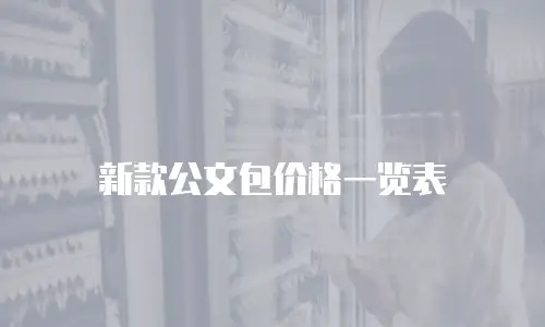 新款公文包价格一览表